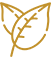 Icon representing paraben-free formulation